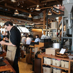 starbucks-1651439_640